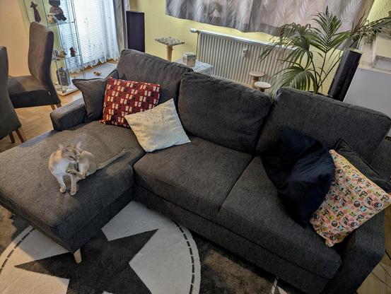 Couch