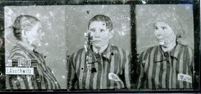 A mugshot registration photograph from Auschwitz. A woman wearing a striped uniform photographed in three positions (profile and front with a bare head and a photo with a slightly turned head with a headscarf on). The prisoner number is visible on a marking board on the left.
