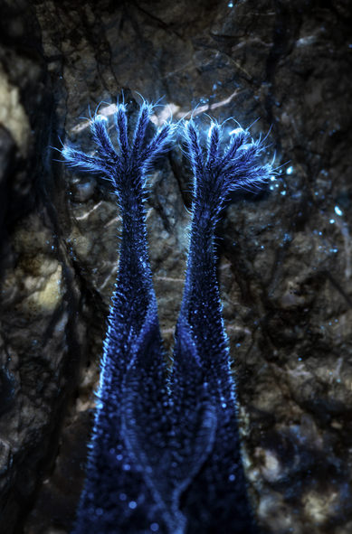 Two furry clawed paws clinging onto something, and hanging upside down. The background is mottled an dark brown, the fur and claws are glowing blue.