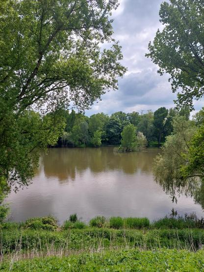 Paysage arboré de Loire et le Fleuve
