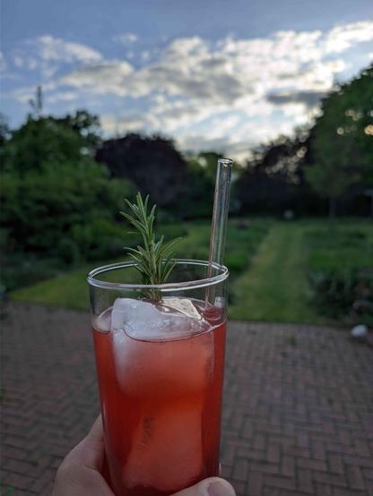 Eine Hand hält ein hohes Glas mit einem rötlichen Getränk und großen Eiswürfeln. Im Glas steckt ein durchsichtiges, gerades Glasstrohhalm sowie ein Zweig frischer Rosmarin. Im Hintergrund sieht man einen weitläufigen Garten mit grünem Rasen, Bäumen und Sträuchern. Der Himmel ist teils bewölkt, die Sonne bricht durch die Wolken und taucht die Szene in sanftes Abendlicht. Der Boden im Vordergrund ist gepflastert.

A hand holds a tall glass filled with a reddish drink and large ice cubes. Inside the glass is a clear, straight glass straw and a sprig of fresh rosemary. In the background, there is a spacious garden with green grass, trees, and bushes. The sky is partly cloudy, with the sun breaking through the clouds, casting a soft evening light. The ground in the foreground is paved.