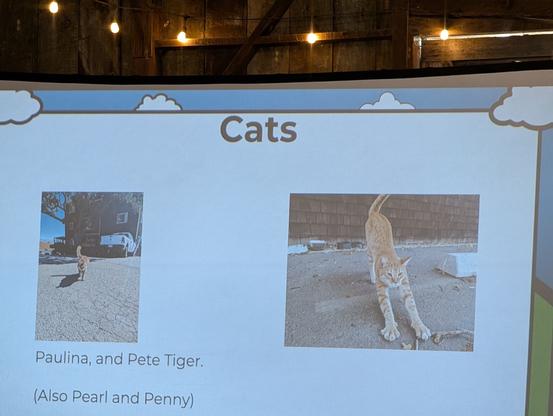 The intro slide for North Bay Python 2025 featuring two of friendly Barn cats.
