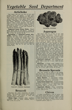 The image is a page from a vintage seed catalog titled "Vegetable Seed Department." The page is divided into sections, each featuring a different vegetable and its description. The top section is about the Artichoke, with an illustration of a Jerusalem Artichoke. The middle section is dedicated to Asparagus, with an image of Conover's Colonial Asparagus. The bottom left section discusses Broccoli, while the bottom right section covers Brussels Sprouts, Chives, and other vegetables. Each section includes detailed information on planting, care, and varieties, such as "Improved Large Green Globe" for Artichoke and "Paris Market" for Brussels Sprouts. The text is in black on a cream-colored background, typical of early 20th-century print materials.