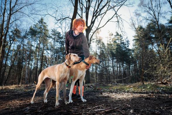 Eine Frau steht mit zwei Hunden im Wald. Hinter ihr geht die Sonne auf. Die Frau steht leicht zu den Hunden herab gebeugt, alle drei blicken in die selbe Richtung.