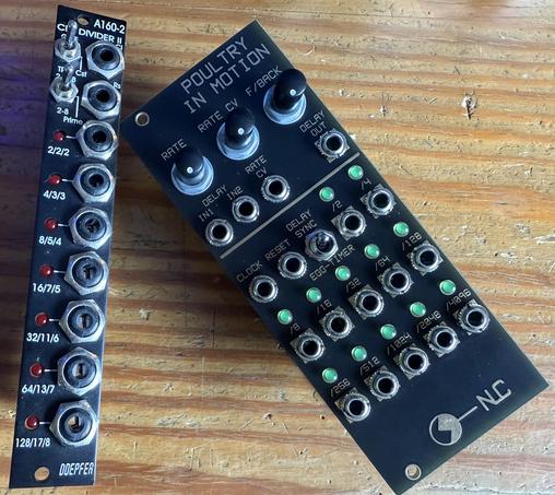 Two synth modules with black panels and mostly output jacks and LEDs. The narrow one on the left reads DOEPFER on the bottom and the larger one on the right reads NC on the bottom, with POULTRY IN MOTION on the top.