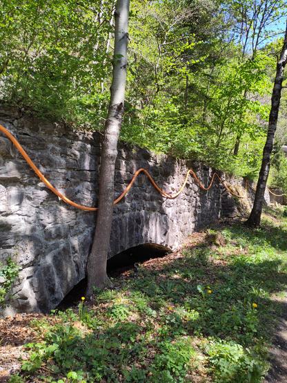 Foto. Stützbauwerk in Naturstein mit Sparbogen, überwuchert.