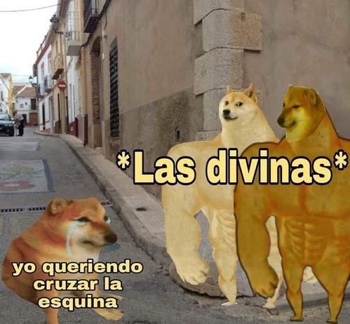 En una esquina de barrio por lado un chems chiquito llorando junto al texto "Yo queriendo cruzar la esquina", al otro lado dos chems mamadisimos con el texto "*Las Divinas*".