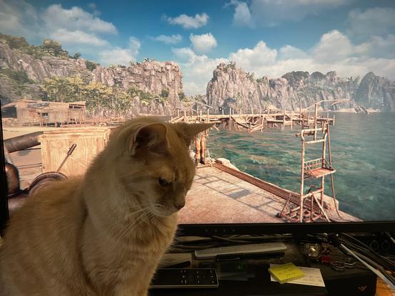 Orange cat sitting and blocking the lower left part of a monitor showing a seaside dock in the game