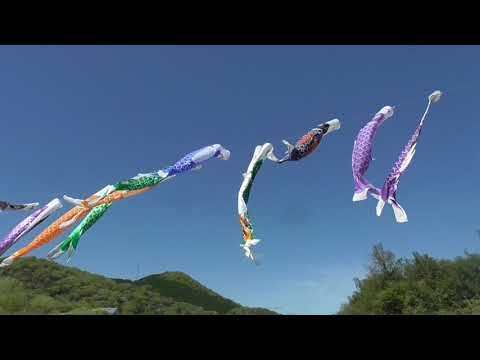 兵庫県香美町ハチ北高原残雪 2025 4 24