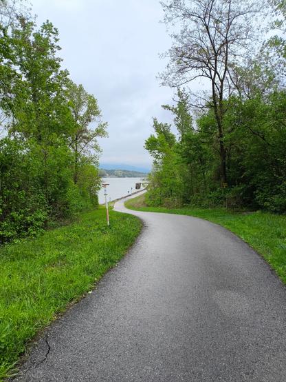 Ein asphaltierter Fahrweg in der Mitte, zu beiden Seiten Wiese und Wald. Dahinter ist die Donau zu sehen.