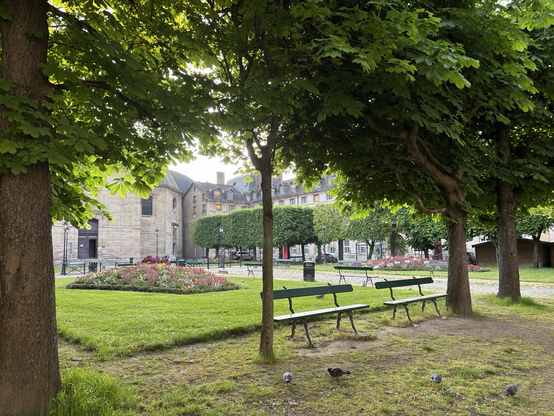 Picture of La Pitie-Salpetriere hospital in Paris