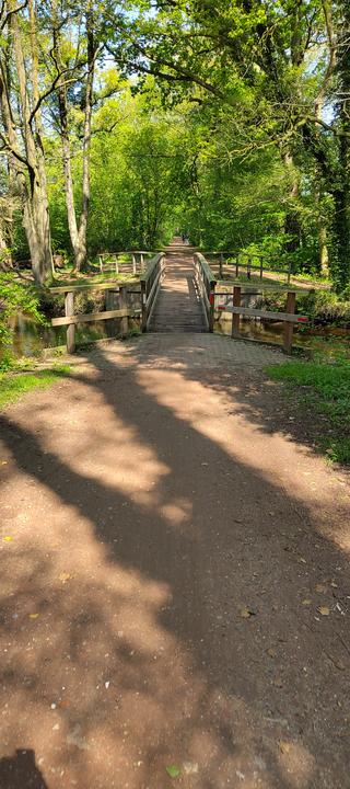 Bild einer schmalen Brücke im Wald für Fußgänger und Radfahrer
