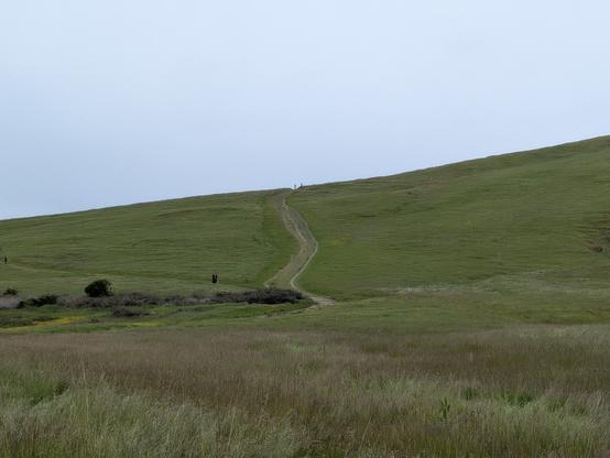 A green grassy slope covering much of the frame, with a dirt track snaking up directly ahead. There are hikers away in the distance.