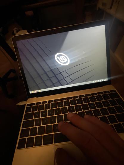 the goldie on my knees with linux desktop on its screen