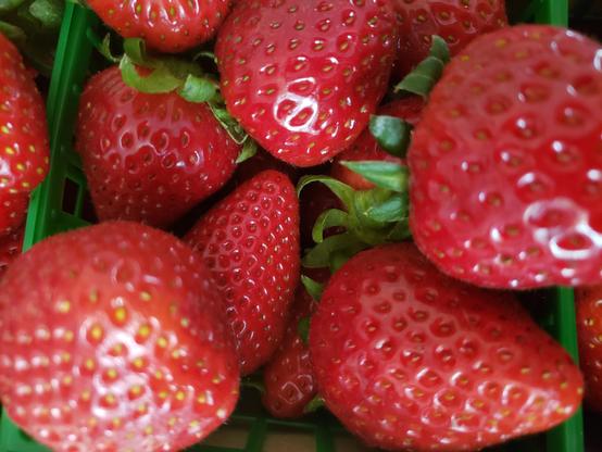 Basket of ripe strawberries in a basket.