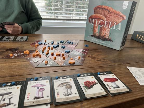 A photo of a late game of Mycelia, a board game where you grow a network or mushrooms by spreading spores and fruiting a tableua of mushrooms