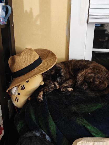 A tortoiseshell cat laying on the back of a couch, asleep next to a cinnamon roll Squishmellow wearing a cowboy hat