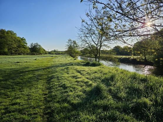 Flussufer der Agger in der Wahner Heide. Der Fluss fließt rechts durch das Bild, die Morgensonne strahlt auf die weitläufige Wiesenlandschaft. Im Hintergrund und entlang des Flusses sind Bäume zu erkennen.