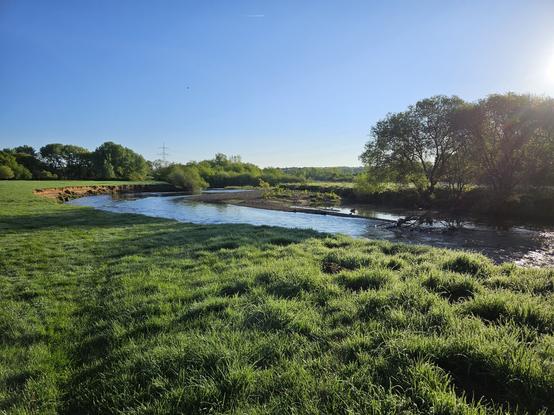 Blick auf eine Flussbiegung der Agger mit einer lehmigen Steilwand. Weitläufige frisch grüne Wiesen und Bäume im Hintergrund. Die Morgensonne scheint, der Himmel ist strahlend blau.