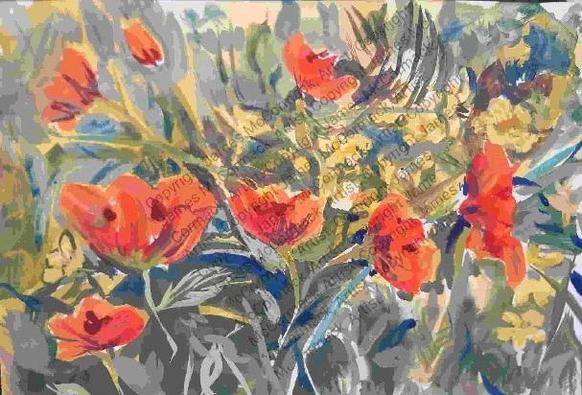 G.
Orange Poppies and Yellow Buttercups.
Wildflowers in an Irish countryside meadow . A typical Irish May scene.