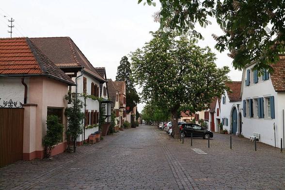 Hauptstraße in Rhodt unter Rietburg