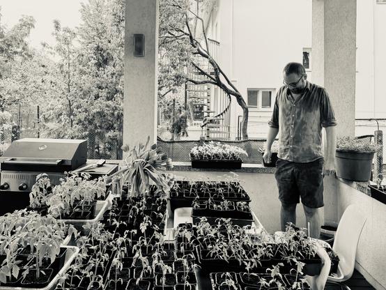 An outdoor table full of trays with seedlings, some better looking than others. Next to the table, guy standing completely soaked but relieved.
