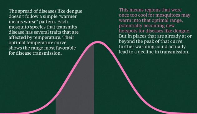 Mosquitoes, for example, rely heavily on ambient temperature. They’re ectotherms, meaning they depend on room temperature to function. Every vector species has multiple traits that are influenced by temperature. If you map all those temperature-dependent traits, you can build a curve that shows the optimal temperature range for that vector.

Depending on where you fall on that curve, if you’re already past the peak and temperatures keep rising, there’s actually the potential for a decrease in transmission risk.

But these systems are highly nuanced. It’s not just about temperature—it’s also about human behavior and how we alter natural habitats. And vectors can evolve, too. So it’s almost like we’re in a race with other organisms to adapt more quickly.