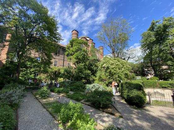 A view of Milan’s Orto Botanico with the towers of the pinacoteca art galley in the background and gravel paths in the foreground along with lots of plants and trees