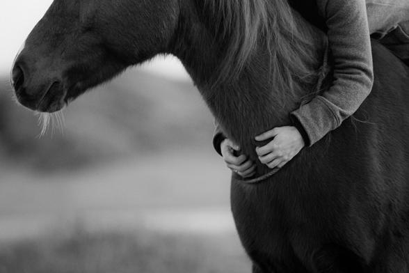 A Rider is hugging her horse from above. Gently scratchig it's lover neck.