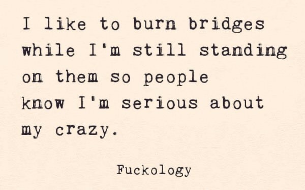 Poster/sign with black text:

I like to burn bridges
while I'm still standing
on them so people
know I'm serious about
my crazy.
       
          Fuckology
