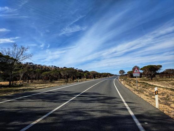 A straight, empty asphalt road stretches into the distance under a bright blue sky dotted with wispy clouds. The road has two lanes marked with solid white lines and is flanked by dry, sandy verges with sparse vegetation and trees. Shadows from the trees fall across the road surface. A triangular hazard sign with a red border and a white interior stands on the right verge.