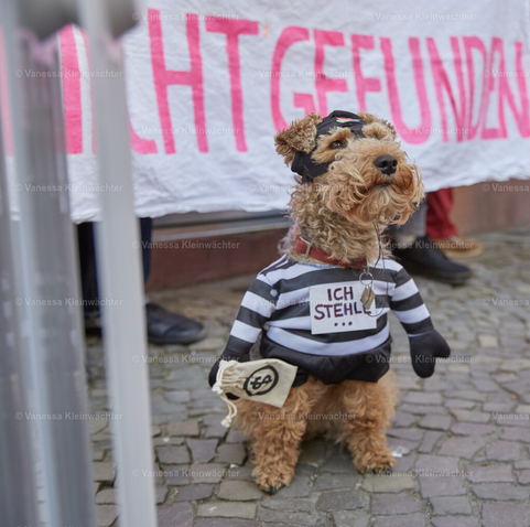 Hund mit Räuber-Kostüm, auf der Brust ein Schild: "Ich stehle...", links unscharf eine Stehheizung, im Hintergrund die Worte "Nicht gefunden".