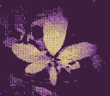 Photograph of flower petals, pixelated Game Boy camera photo tinted yellow and purple