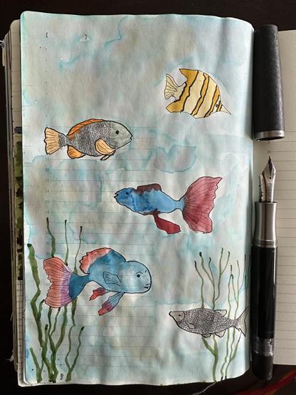 Sketch in sketchbook of fish