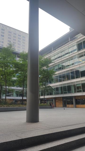 A shot from distance of two woman of color in heels, skirts and sleeveles, black tops sitting next and angled towards to eachother, legs crossed, on the grey stone edge of one of several enormous planters filled with meters high trees in the inner courtyard of an office building, having a cigaret and conversation. It's ohterwise empty, apart from a single black bird observing them from several meters away, probably wondering if there's food to be had.