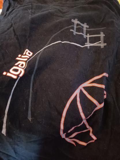 Black t-shirt  with lines in grey and red.
It says Igalia.