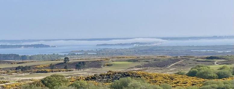 A scenic landscape featuring rolling hills, a river or bay in the distance, and fog hovering over the water. The foreground includes greenery and patches of yellow shrubs, creating a tranquil natural setting.