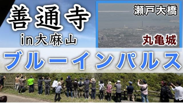 『善通寺の大麻山から見るブルーインパルス』残念ながら展示飛行は中止