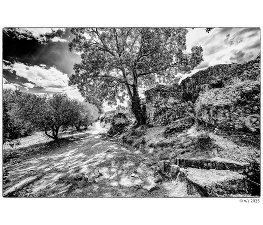 Landschaft mit Aquädukt und Baum