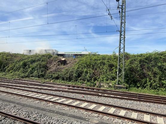 Das Bild zeigt mehrere Schienen, eine Mast für die Oberleitung, eine Böschung und dahinter eine in  Brand stehende Halle…