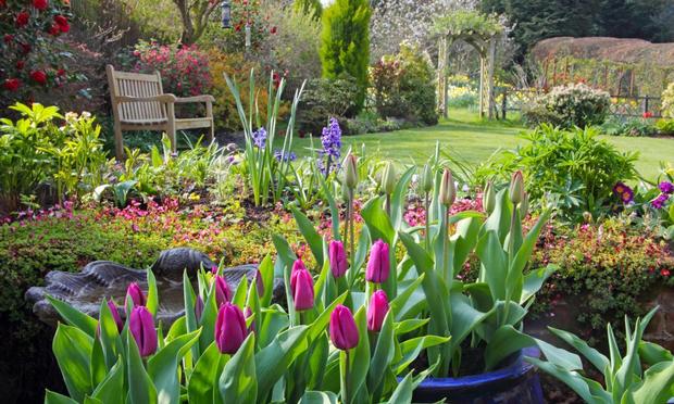 Un jardín campestre inglés en primavera con macetas de tulipanes en el patio, flores en los bordes, arbustos, un arco de rosas y un asiento de jardín en el césped, Haslemere, Surrey, Inglaterra, Reino Unido. (Rosemary Calvert)