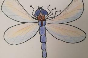 Eine mit Buntstiften gezeichnete Libelle mit blauem Leib und bleu / orangefarbenen Flügeln.
Die Umrisse sind mit fineliner gezeichnet.