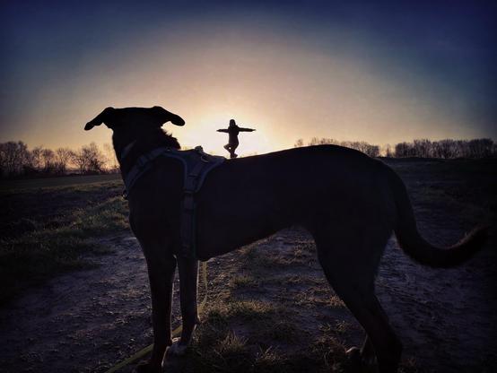 Mit Hund den Sonnenuntergang genießen