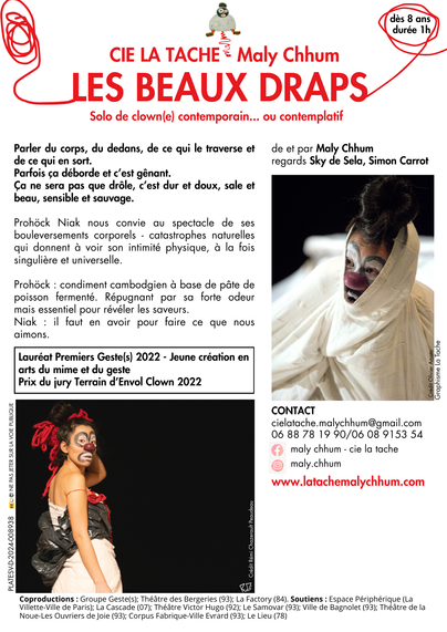 Descriptif et explications du spectacle