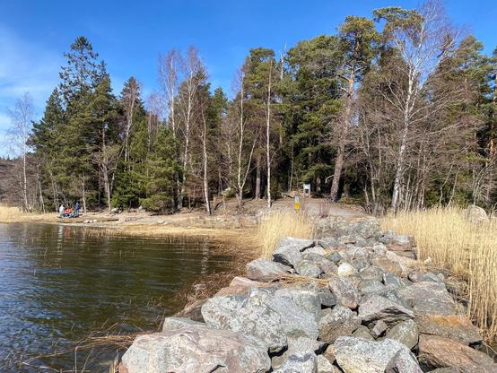 Kivisen aallonmurtajan kärjestä kohti männikköistä niemenkärkeä. Oikealla edellisvuotista ruovikkoa, vasemmalla avovettä ja loiva hiekkainen ranta. Rannalla ihmisiä eväitä syömässä.