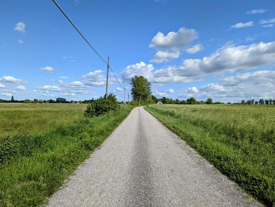 A slender path floats between endless green meadows, fading into a horizon where fluffy clouds drift in a painted blue sky. The world hums with a delicate, unreal calm, as if time has slowed to a whisper, leaving only the breath of the earth and the soft rustle of grasses.