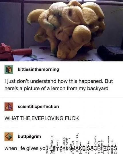 Demon lemon