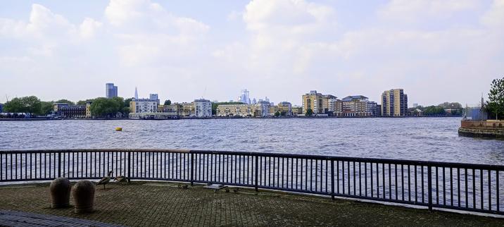 A family of ducks walk along the quayside on Isle of Dogs with River Thames in background