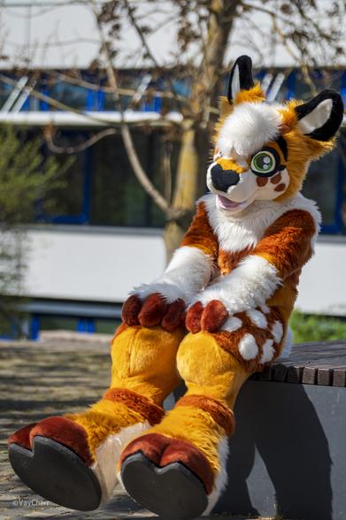 AzraelKio fursuiting, leaning back on a bench and looking excited!