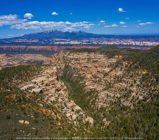 View across a tumultuous region of sandstone canyons and cliffs toward an isolated mountain range under blue sky with small white clouds. White layered sandstone canyon in foreground; red cliffs beyond that; and farther back more white sandstone; mountains dark with vegetation with small patches of snow at peaks.
©BosqueBill.com